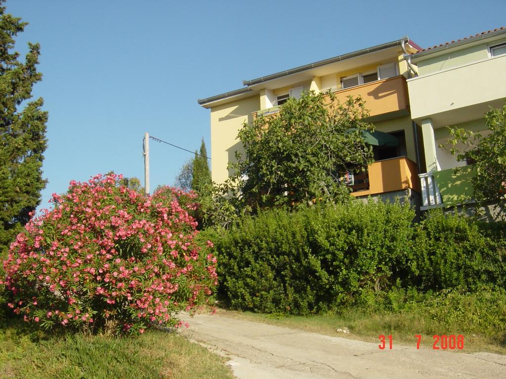 Apartments Prahovic Ždrelac Εξωτερικό φωτογραφία