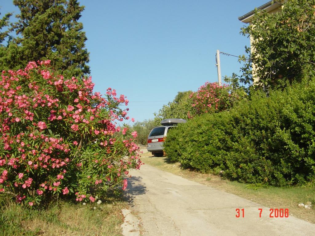 Apartments Prahovic Ždrelac Εξωτερικό φωτογραφία